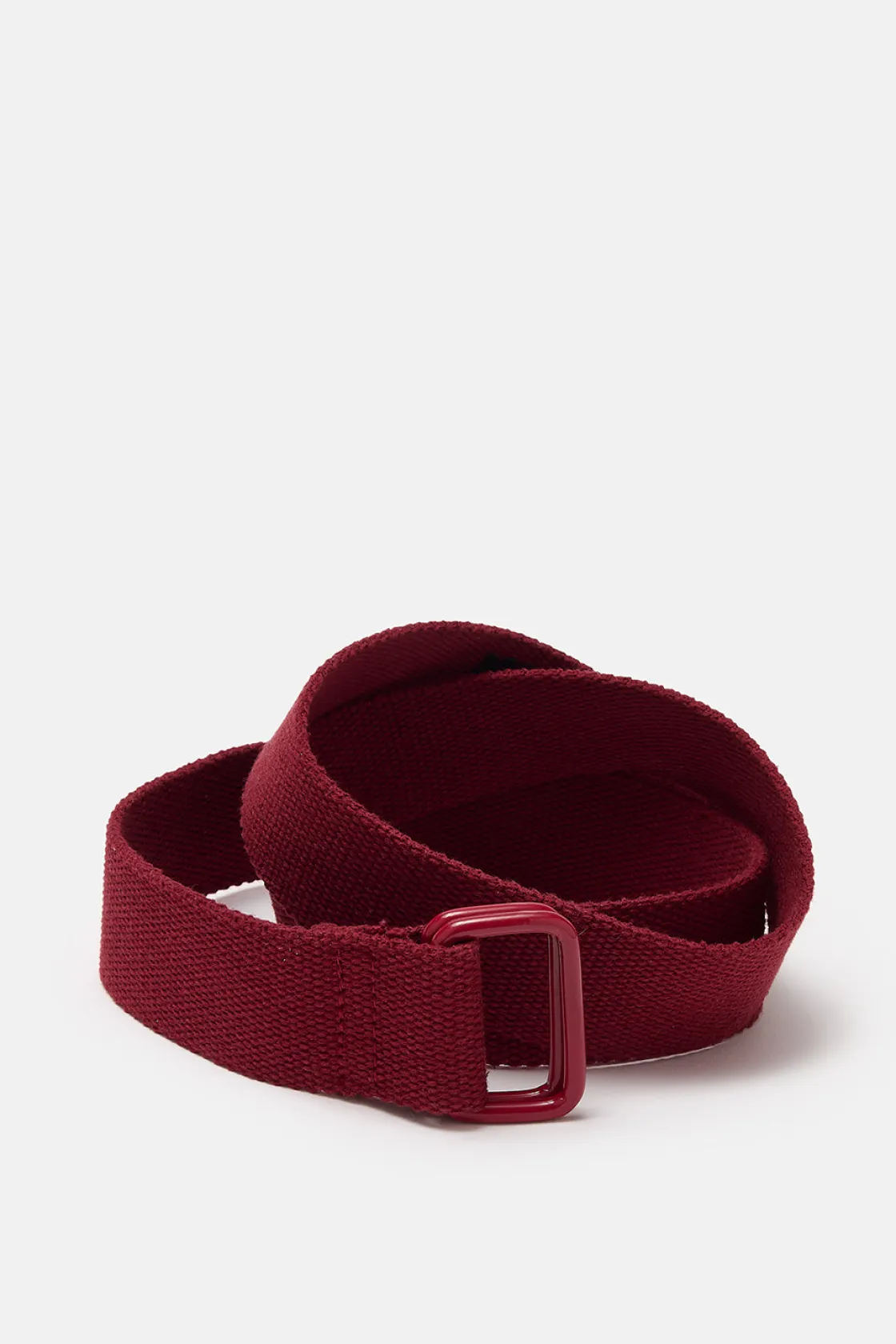 Lucy & Yak Flynn - D-Ring Cotton Webbing Belt in Red Dahlia Online