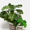 Lucy & Yak Runa - Plant Pot Cover in Diamond Jacquard Print (2 Pack) Hot