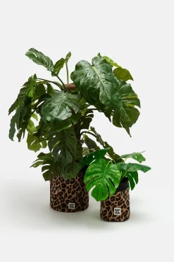 Lucy & Yak Runa - Plant Pot Covers in Leopard Corduroy Print (2 Pack) Sale