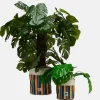 Lucy & Yak Runa - Plant Pot Covers in Rainbow Stripe Print (2 Pack) Online